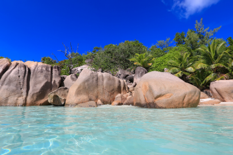 Sejšeli Avantura iz Beograda