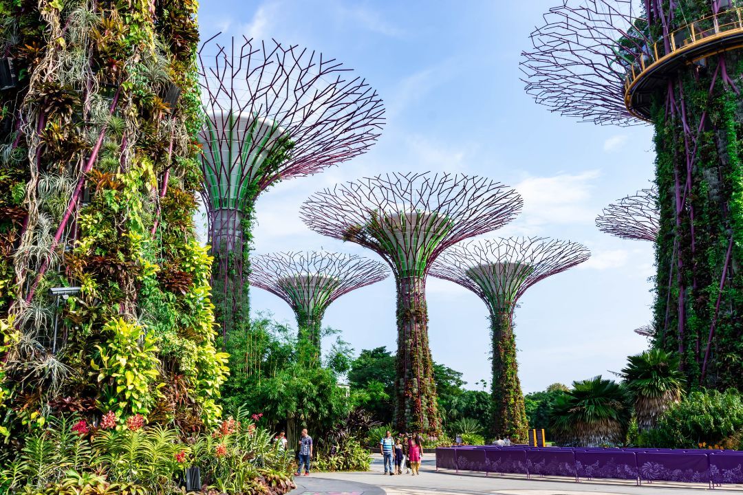 Singapur City Tour